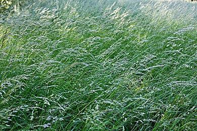 《破晓传奇》黎明新程DLC预购 本体售价永降